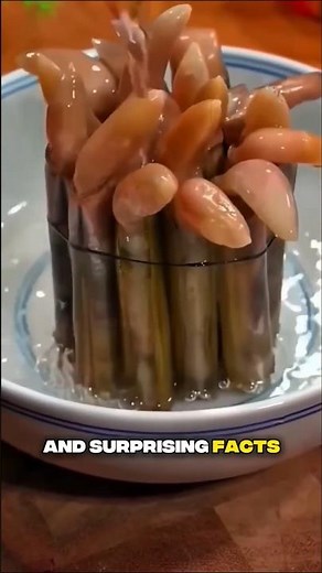 Do you know | World fact | fact vs fake | Real vs unreal | AI videos that you thought they were real