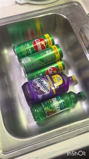 Ultimate Product Combo Challenge for CleanTok