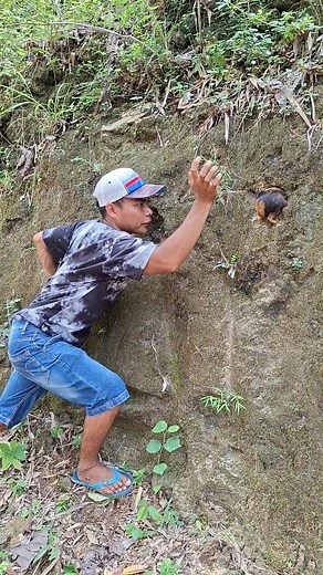 animals in holes in the ground | Jall Af