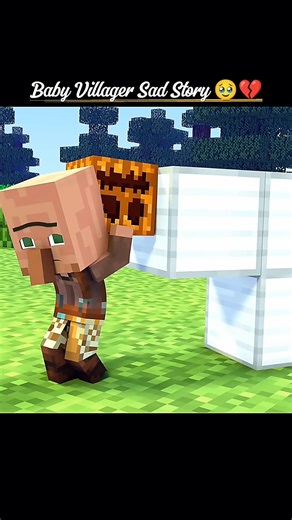 Baby Villager Sad Story 🥹💔