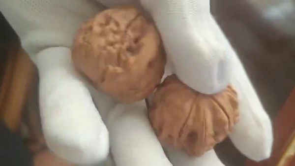 Collector's Grade Oracle Bone Script Wenwan Walnut Walnuts 36.5mm - Pair 2JGW003 - Hand Exerciser Meditative Tool - Wood Fidget Toy - Etsy