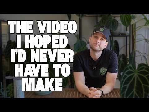 Sad Life Update & Anthurium Repot