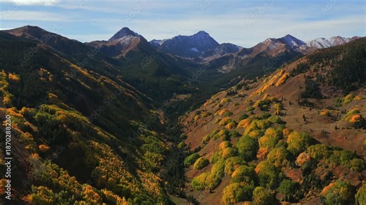 Autumn Fall morning blue sky sunny snowy Capitol Peak creek trail wilderness Aspen Snowmass Colorado aerial drone quaking aspen tree grove White River Forest Elk Range Rocky Mountains circle left