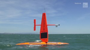 Why These Boats Are Sailing Into Hurricanes