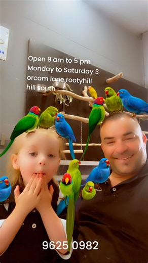 Central Pets & Aquarium on Reels