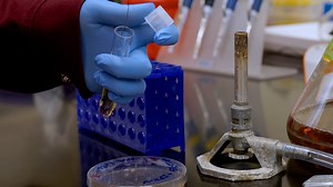 Site Specific Lysine Acetylation of Histones for Nucleosome Reconstitution using Genetic Code Expansion in Escherichia coli