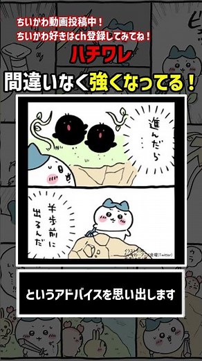 ハチワレ、間違いなく強くなってる #shorts