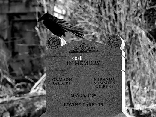 my man #damonsalvatore #iansomerholder #thevampirediaries #fyp | Damon Salvatore