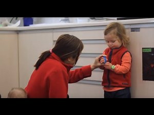 Getting started 1.2 Risk and protective factors