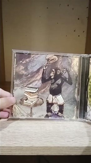 Green Day Insomniac CD Unboxing