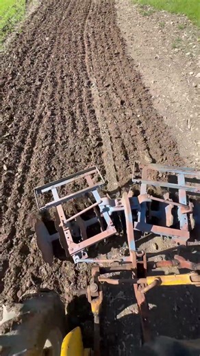 Using the Discs #farming #farmall #cub