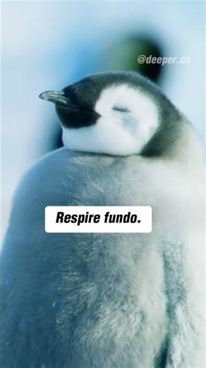 Descubra o Poder da Respiração!