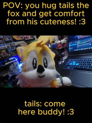 POV you hug tails and feel his cuteness#sonic #sonicthehedgehog #cute #tailsthefox #plushies
