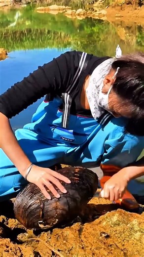 Pearl Hunter on Instagram: "Mutant organisms of river clams produce beautiful pearls #pearl #pearls #viral #reels #fblifestyle"