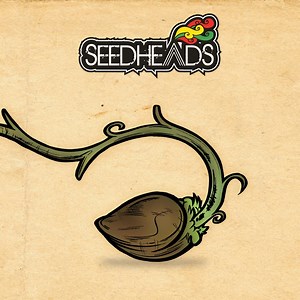 Vultures - Seedheads: Song Lyrics, Music Videos & Concerts