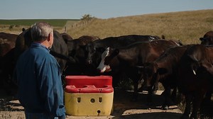 3.3K views · 31 reactions | You can keep cattle hydrated while still saving water, protecting the land and conserving power. How? With Ritchie. | Ritchie Automatic Waterers | Facebook