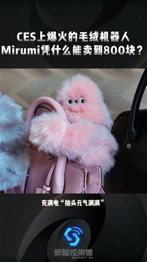 CES Mirumi凭什么能卖到800块？Why can the Mirumi plush robot, which became a hit at CES, sell for $119? #ai