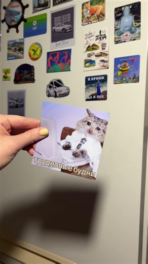 WB: 815198900 #магнит #мем #работа #котик