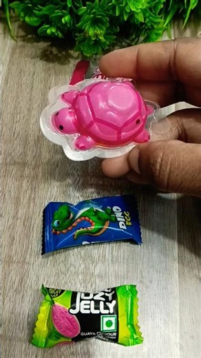 🐢 Only Turtle Candy Opened! Surprise Inside 🍬✨