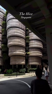 5.1K views · 46 reactions | The Hive - Learning Hub Architects:...