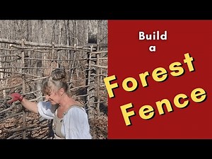 Ancient Forest Building Technique Makes The PERFECT Natural Fence!