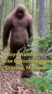 948K views · 6.1K reactions | Boys walked into wise Bigfoot creature in Grayling, Michigan | Bigfoot Evidence | Facebook
