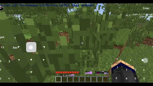 Minecraft 1.2.7 (6.0)