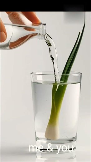 How to create vegetables germination time lapse video//19 December 2025