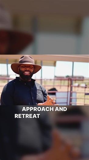 4.9K views · 141 reactions | Build a bond without a bridle! 欄 This liberty training exercise is all about creating connection through approach and retreat .Learn how to create a bond so strong, your horse will WANT to be with you. #horsetraining #libertytraining #positivehorsemanship #trustbuilding | Steady Horse | Facebook