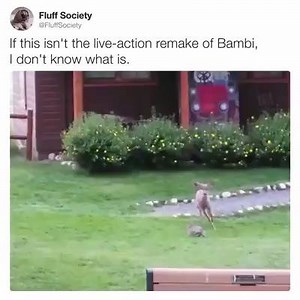 58K views · 416 reactions | [@thechive] | Cute Club | Facebook