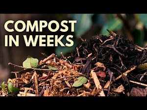This Bio Accelerator Trick Makes Compost FAST & Turns Soil Into Living Power