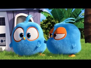 Con chim non - Đàn gà con - Liên khúc nhạc thiếu nhi vui nhộn cho bé