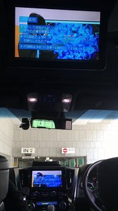 NHK Eテレさまの『高校講座 生物基礎」（毎週火曜日 午後2時40分から） 本日も、生物のたいせつな学びと、胡桃坂先生の魅力がすっギョーーーーーく大漁‼️ ありがとうギョざいます！ 語り担当 さかなクン 〜都内移動中にて〜 | さかなクン＆プクプク