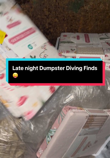 Late night Dumpster Diving Finds 😝 #dumpsterdiving #dumpsterdivingmama #fyp #dumpsterdiver #haul