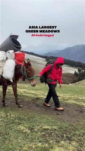 Asia’s Largest Green Meadows 😍 | Ali Bedni Bugyal Trek Uttarakhand 🏔️