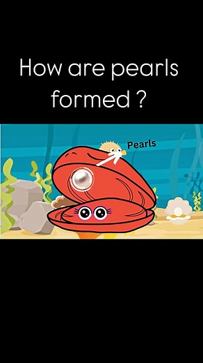 Scientifically how? on Instagram: "How are pearls formed: Pearls form inside oysters and other mollusks when an irritant, such as a grain of sand, gets trapped inside the shell. The mollusk secretes layers of nacre, a combination of calcium carbonate and protein, around the irritant to protect itself. Over time, these layers build up to form a pearl. #pearls #gemstone #pearls #science #sciencefacts #trending #viral #viralvideos #trendingvideos #facts #defend #instagram"