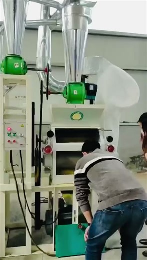 Corn Flour Milling Machine/grain Processing Machinery Grain Grinder High Quality Indian 200kg/hour 10.5 KW Super Fine Flour