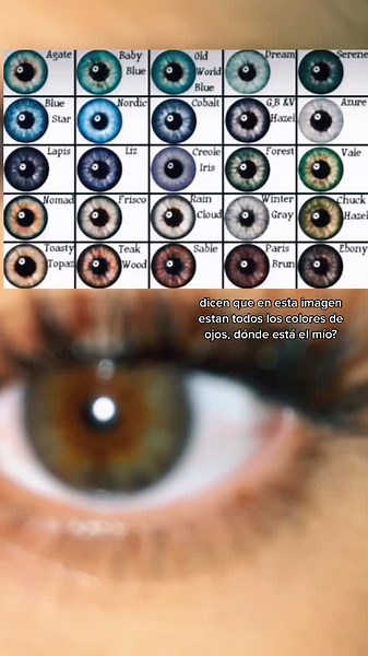 Explorando la diversidad de colores de ojos en imágenes impactantes