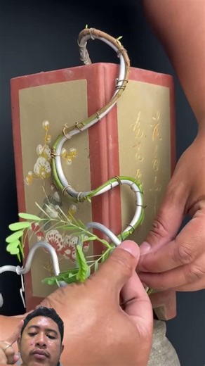 Teknik wiring bonsai part 6 #bonsai #bonsaitree #garden #hobby #plants
