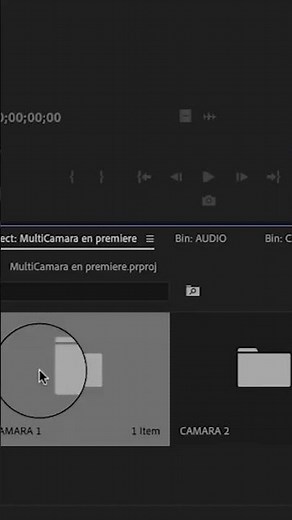 Edicion multicamara premiere | como hacer multicamara en premiere 2020 | Adobe Premiere Pro