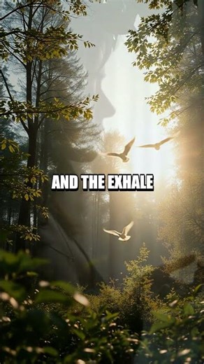 Serenade of Breath Across Hidden Valleys