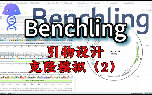 如何使用Benchling在线进行引物设计和克隆模拟（2）