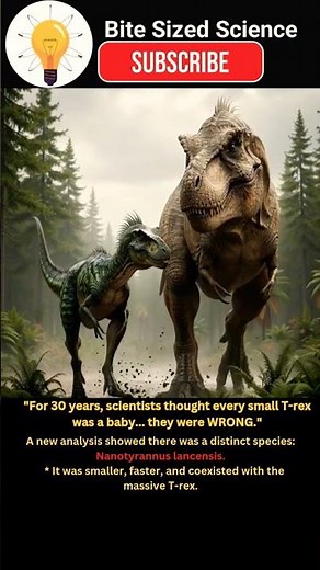 Nano T-Rex Discovered! THIS Changes Everything About T. rex 🦖 #tyrannosaurusrex#science#shorts