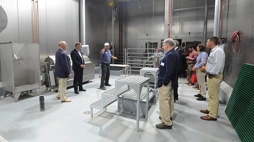 'Egregious humane handling incident': Westport slaughterhouse briefly suspended