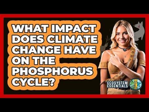 What Impact Does Climate Change Have On The Phosphorus Cycle? - Ecosystem Essentials