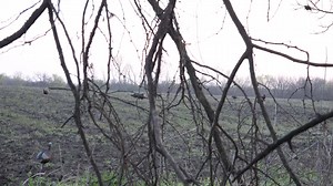 Boom! Realtree Outdoors® | BioShield All-Natural Insect Repellent | Hunting Land Man TV