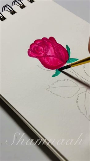 Rose drawing 🌹✨#shorts | CRAFT & DRAW by shamnaah |