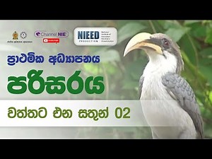 වත්තට එන සතුන් 02 - 05 ශ්‍රේණිය- (පරිසරය)