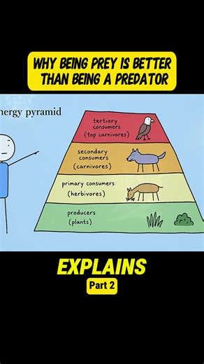 Why Being Prey Can Be Better Than Being a Predator