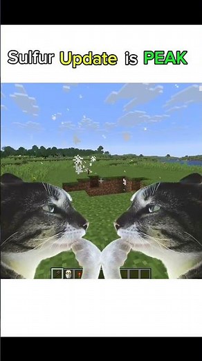 This Update is PEAK!!!